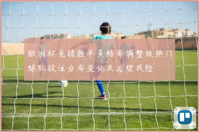 欧洲杯竞猜胜平负赔率调整致热门球队投注分布变化及后续风险