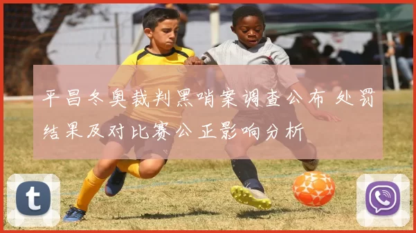 平昌冬奥裁判黑哨案调查公布 处罚结果及对比赛公正影响分析