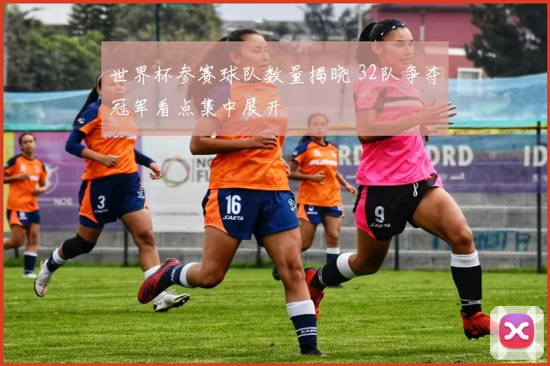 世界杯参赛球队数量揭晓 32队争夺冠军看点集中展开
