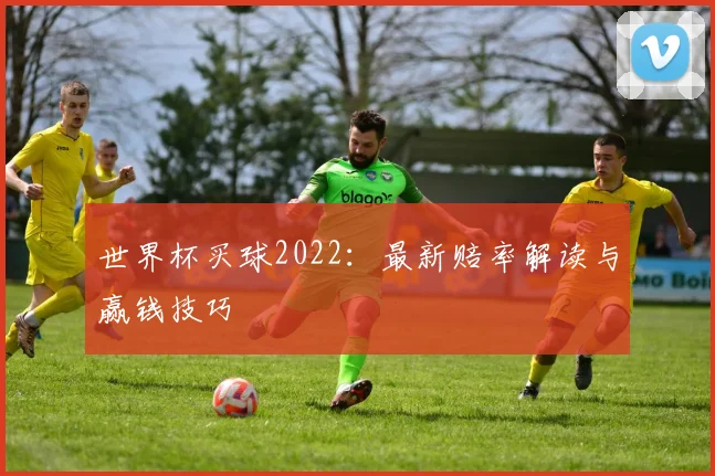 世界杯买球2022:最新赔率解读与赢钱技巧