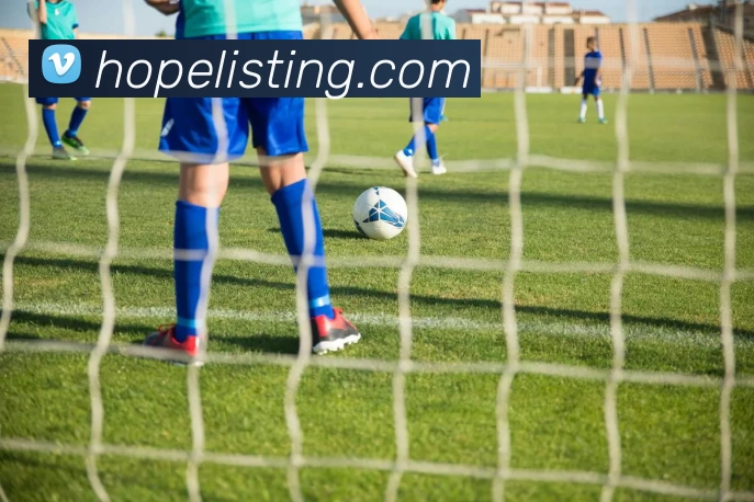 顶盛体育·(中国)官方网站APP 封面图